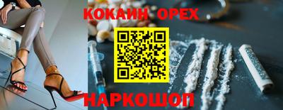 сатива Новодвинск