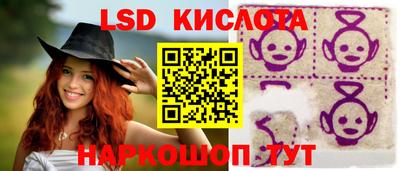 сатива Новодвинск