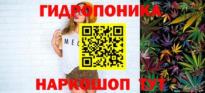 сатива Новодвинск