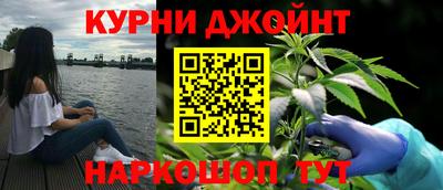 сатива Новодвинск